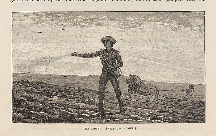 The Sower Slider Image 2